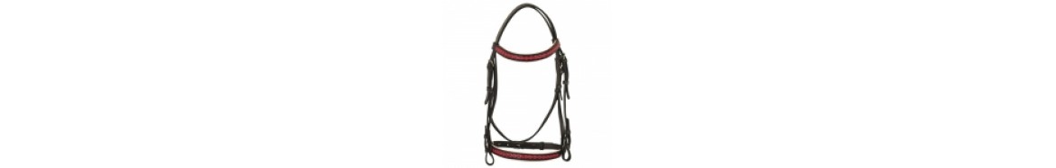 Bridle & Halter